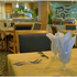 Cafe Aquatica photo