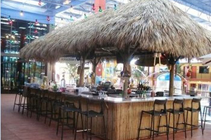 Wet Rooster Bar photo