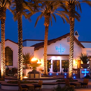BlueFire Grill photo